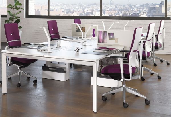 FrameOne Plus Bench Typ 10/gerade